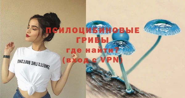 мдпв Наволоки