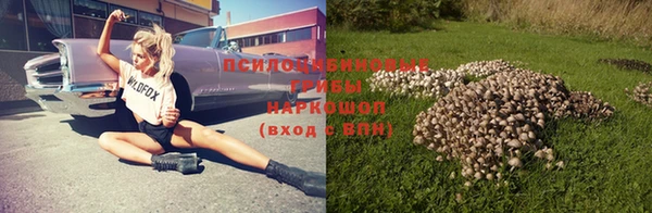мдпв Наволоки