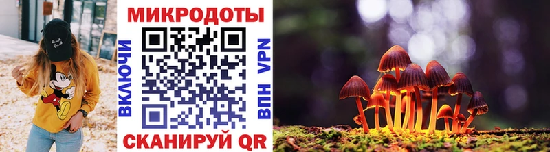 Купить где  Знаменск  Псилоцибиновые грибы Psilocybine cubensis 